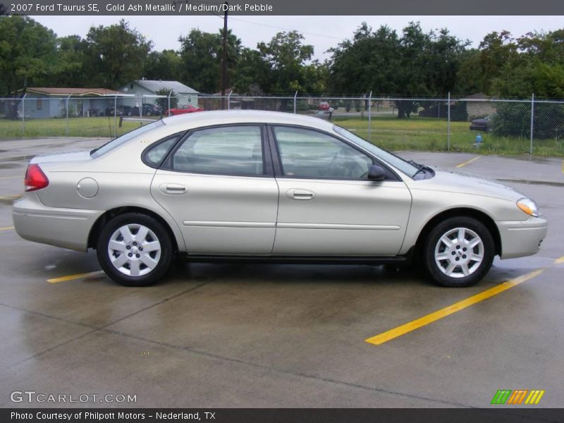 Gold Ash Metallic / Medium/Dark Pebble 2007 Ford Taurus SE