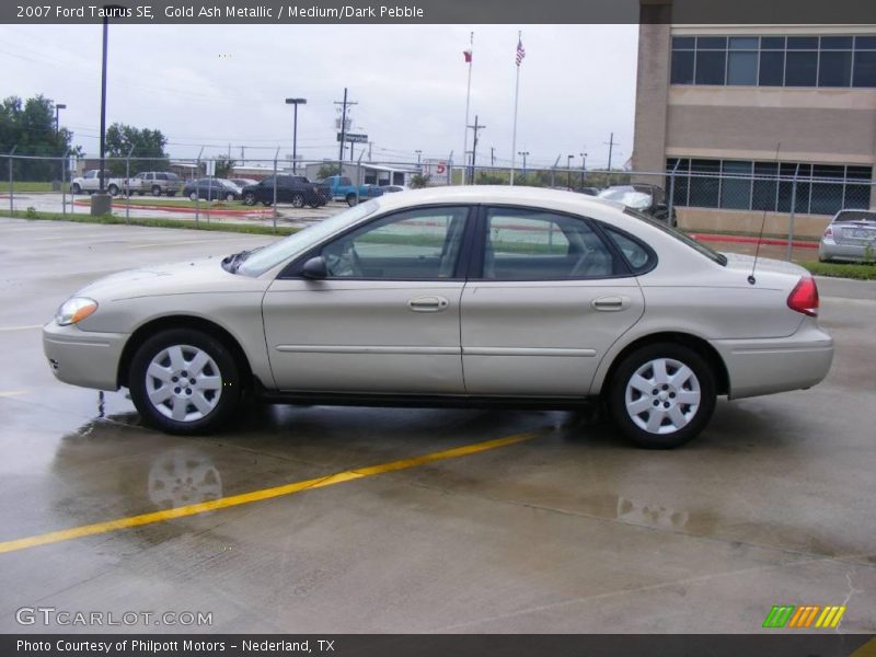 Gold Ash Metallic / Medium/Dark Pebble 2007 Ford Taurus SE