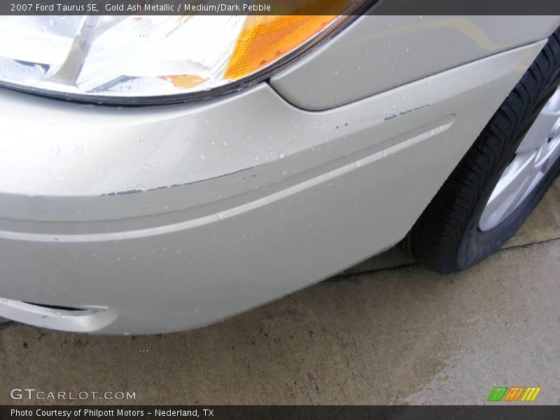 Gold Ash Metallic / Medium/Dark Pebble 2007 Ford Taurus SE