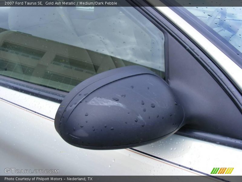 Gold Ash Metallic / Medium/Dark Pebble 2007 Ford Taurus SE