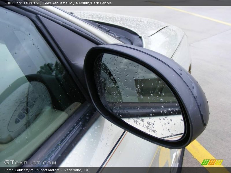 Gold Ash Metallic / Medium/Dark Pebble 2007 Ford Taurus SE