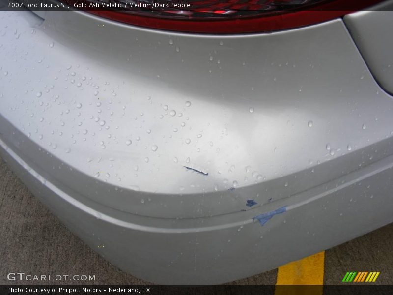 Gold Ash Metallic / Medium/Dark Pebble 2007 Ford Taurus SE