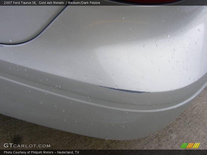 Gold Ash Metallic / Medium/Dark Pebble 2007 Ford Taurus SE