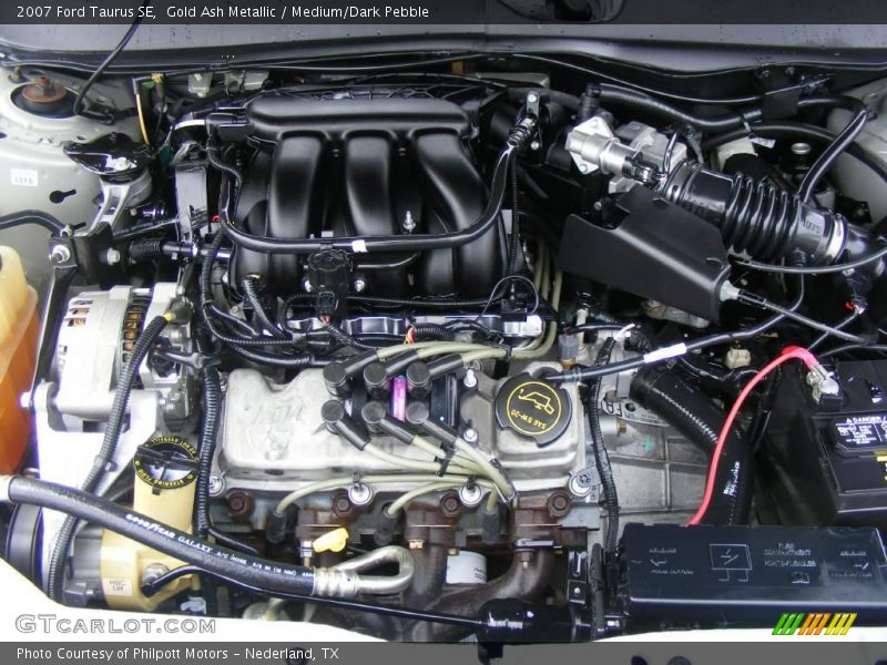 Gold Ash Metallic / Medium/Dark Pebble 2007 Ford Taurus SE