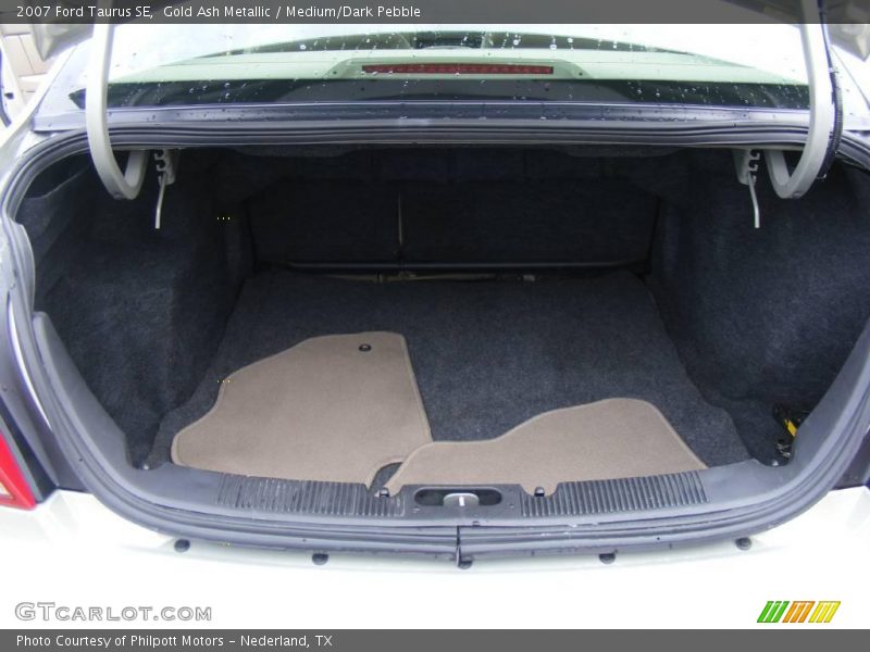 Gold Ash Metallic / Medium/Dark Pebble 2007 Ford Taurus SE