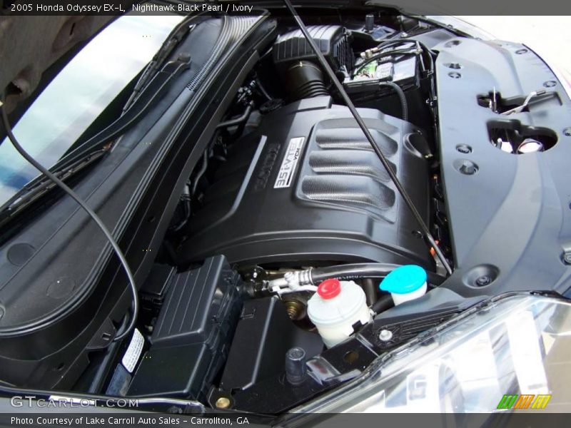 Nighthawk Black Pearl / Ivory 2005 Honda Odyssey EX-L