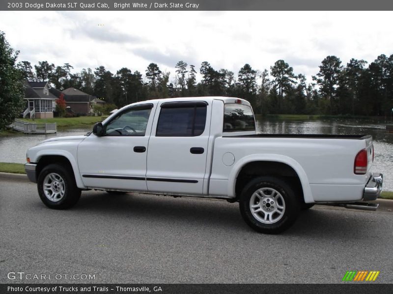 Bright White / Dark Slate Gray 2003 Dodge Dakota SLT Quad Cab