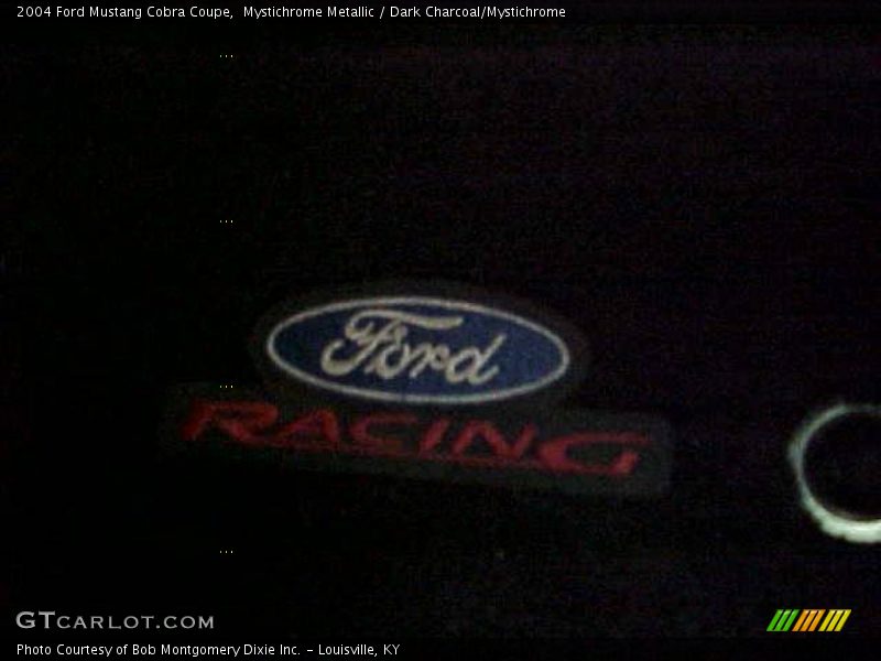 Mystichrome Metallic / Dark Charcoal/Mystichrome 2004 Ford Mustang Cobra Coupe