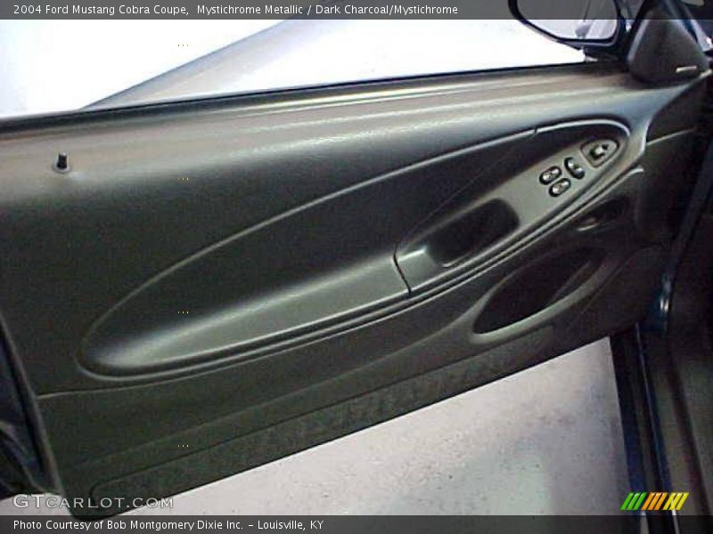 Door Panel of 2004 Mustang Cobra Coupe