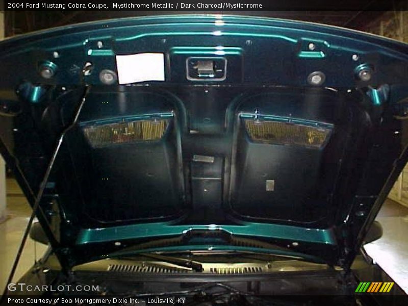 Mystichrome Metallic / Dark Charcoal/Mystichrome 2004 Ford Mustang Cobra Coupe