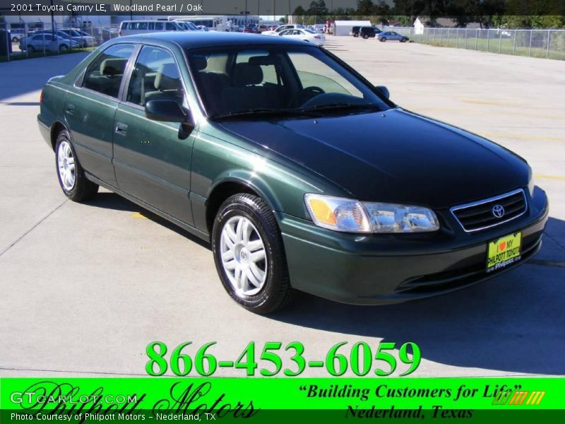 Woodland Pearl / Oak 2001 Toyota Camry LE