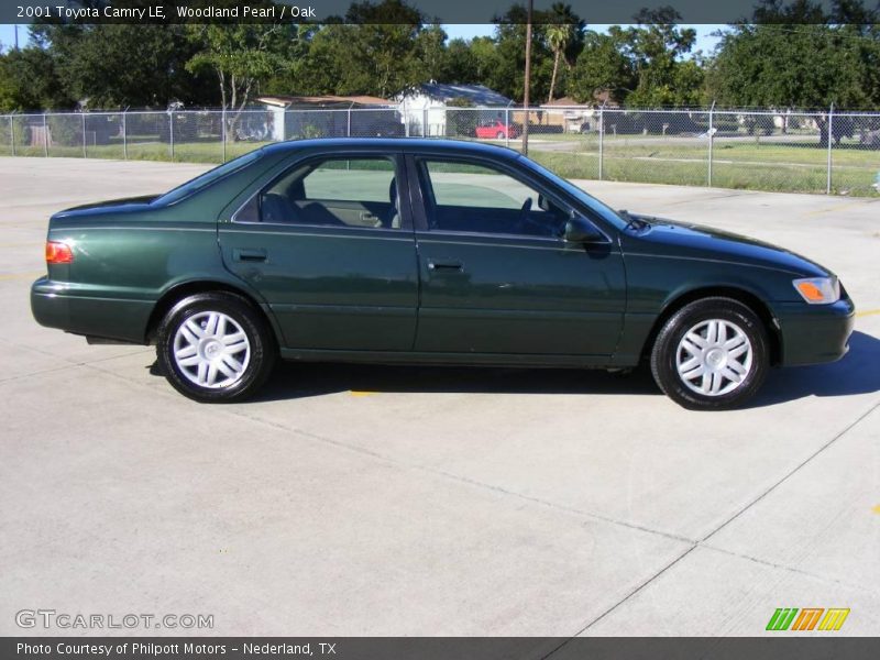 Woodland Pearl / Oak 2001 Toyota Camry LE