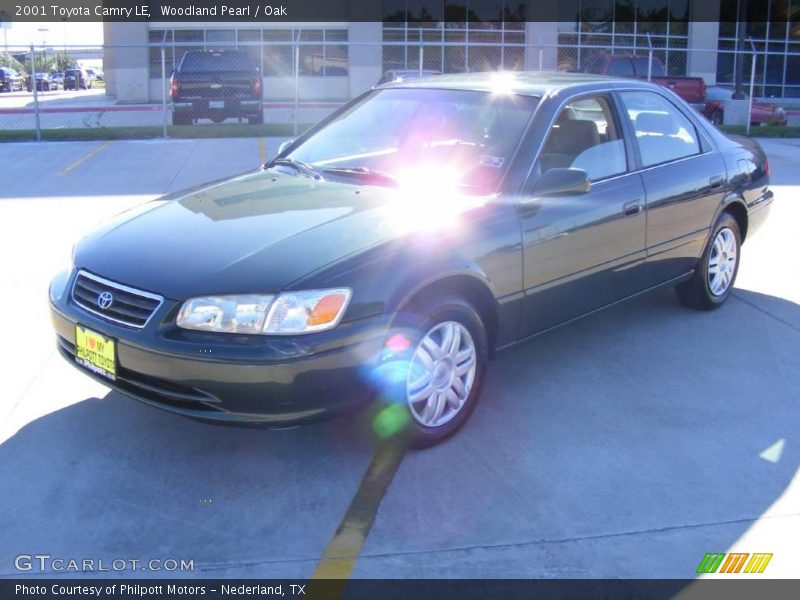 Woodland Pearl / Oak 2001 Toyota Camry LE