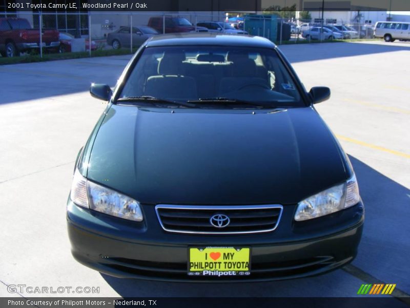 Woodland Pearl / Oak 2001 Toyota Camry LE