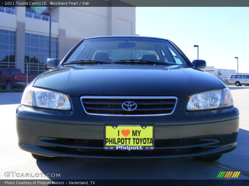 Woodland Pearl / Oak 2001 Toyota Camry LE