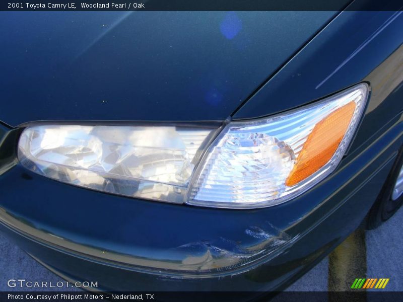 Woodland Pearl / Oak 2001 Toyota Camry LE