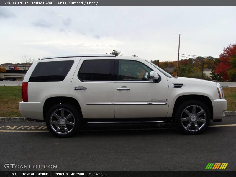 White Diamond / Ebony 2008 Cadillac Escalade AWD