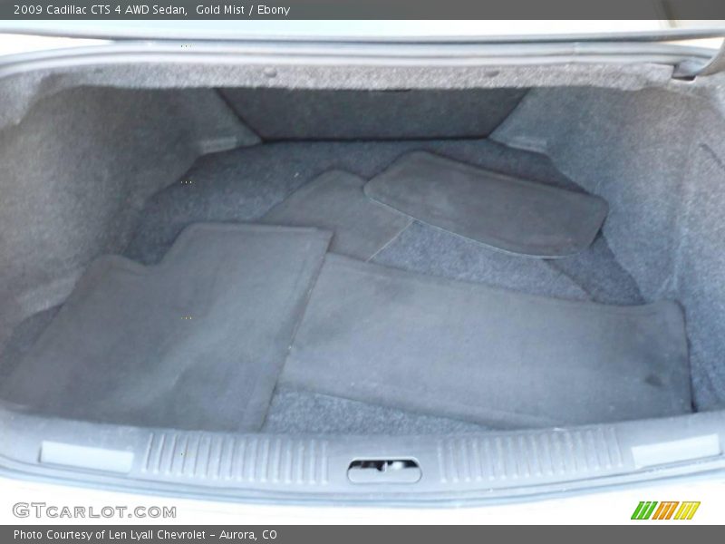 Gold Mist / Ebony 2009 Cadillac CTS 4 AWD Sedan