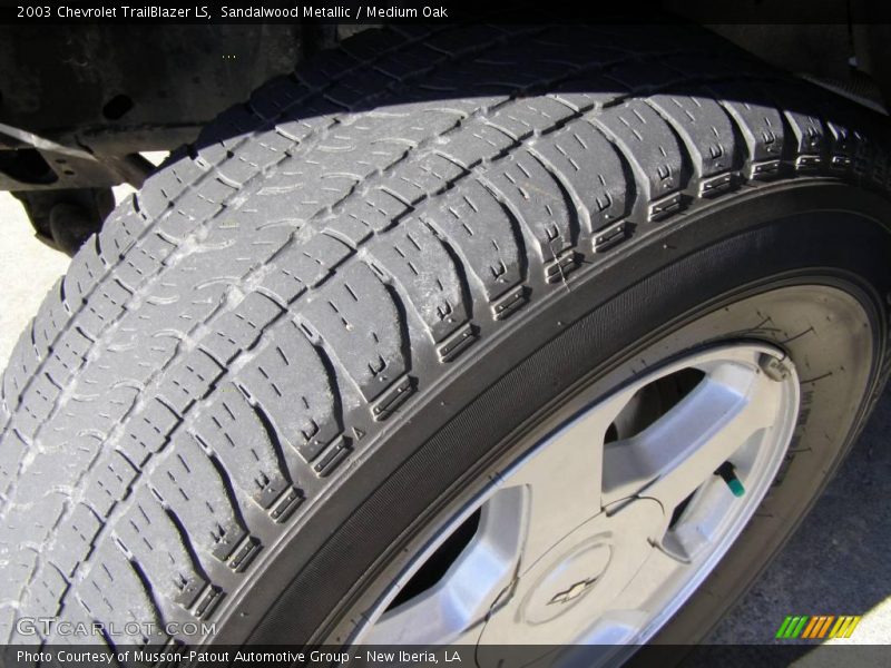 Sandalwood Metallic / Medium Oak 2003 Chevrolet TrailBlazer LS