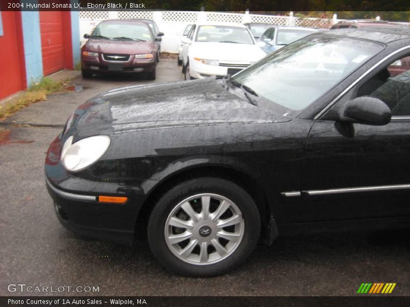 Ebony Black / Black 2004 Hyundai Sonata LX
