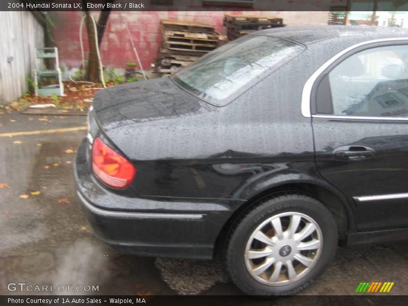 Ebony Black / Black 2004 Hyundai Sonata LX