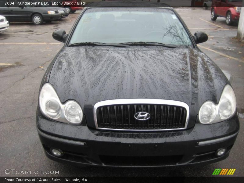 Ebony Black / Black 2004 Hyundai Sonata LX