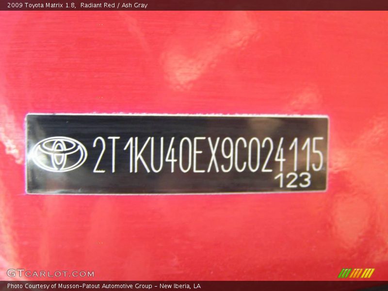 Radiant Red / Ash Gray 2009 Toyota Matrix 1.8