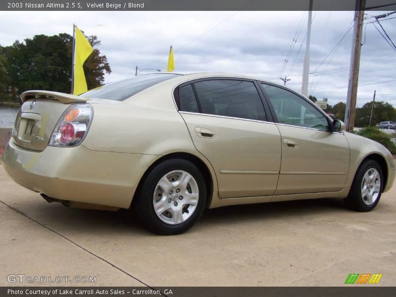 Velvet Beige / Blond 2003 Nissan Altima 2.5 S