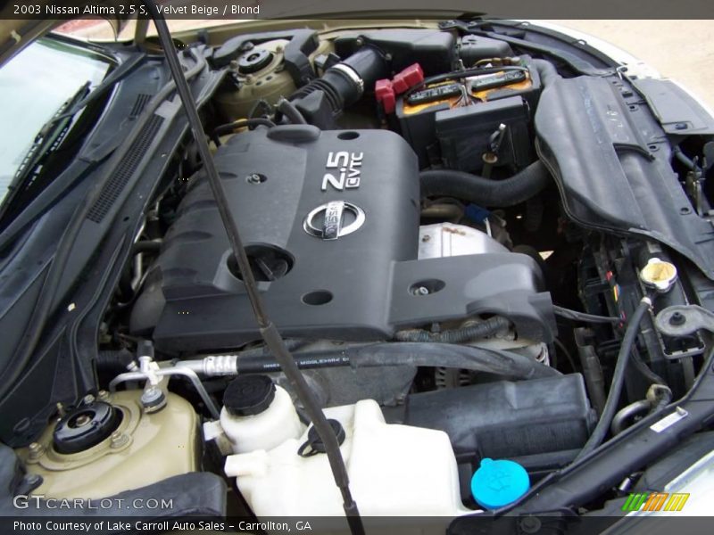 Velvet Beige / Blond 2003 Nissan Altima 2.5 S