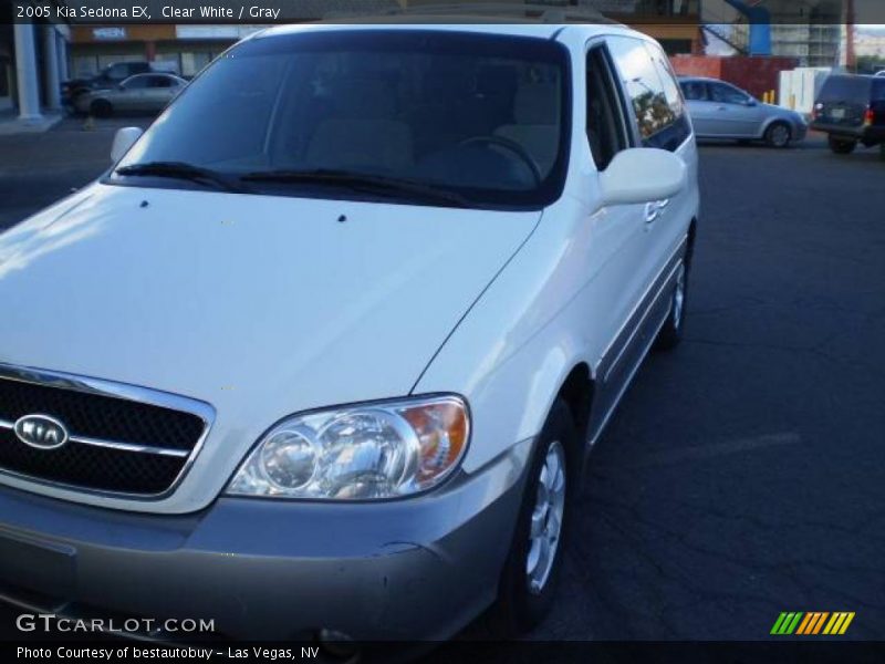 Clear White / Gray 2005 Kia Sedona EX