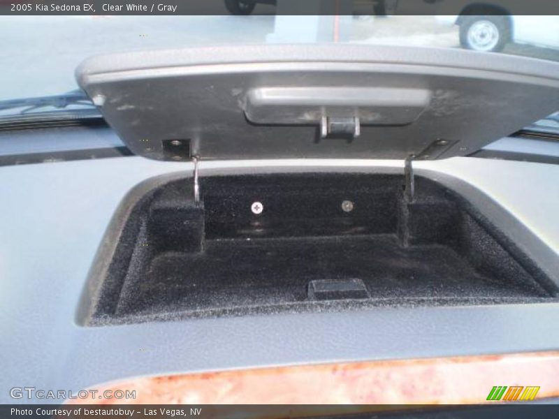 Clear White / Gray 2005 Kia Sedona EX