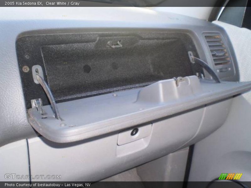 Clear White / Gray 2005 Kia Sedona EX
