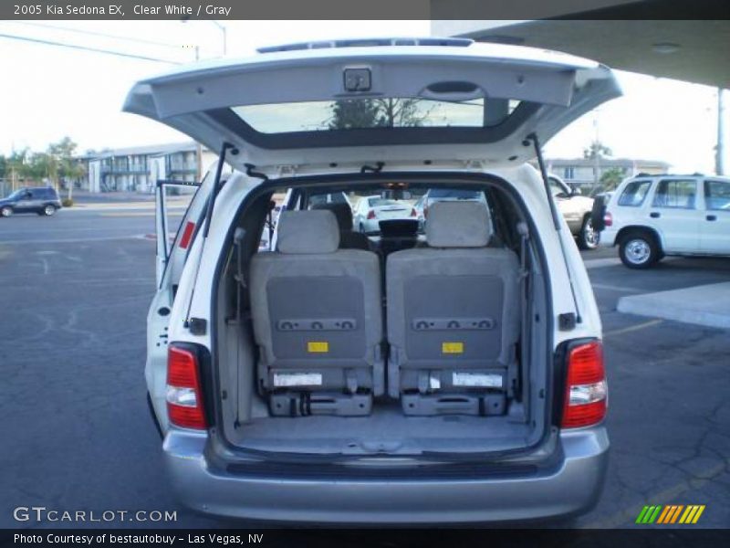 Clear White / Gray 2005 Kia Sedona EX