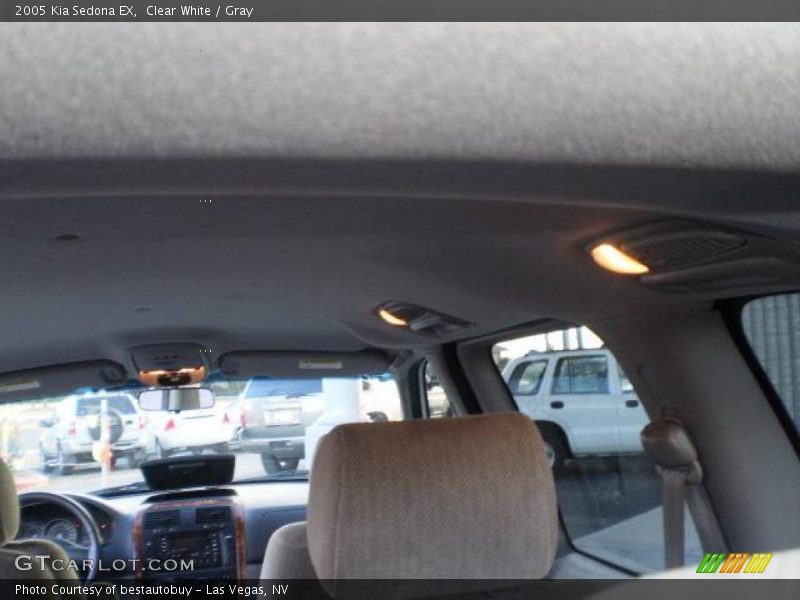 Clear White / Gray 2005 Kia Sedona EX