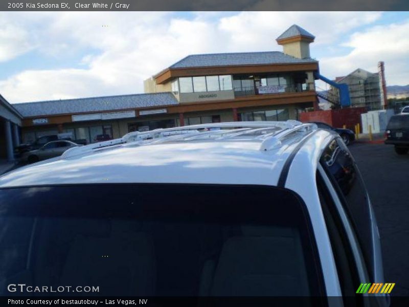 Clear White / Gray 2005 Kia Sedona EX