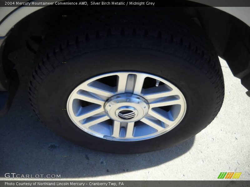 Silver Birch Metallic / Midnight Grey 2004 Mercury Mountaineer Convenience AWD