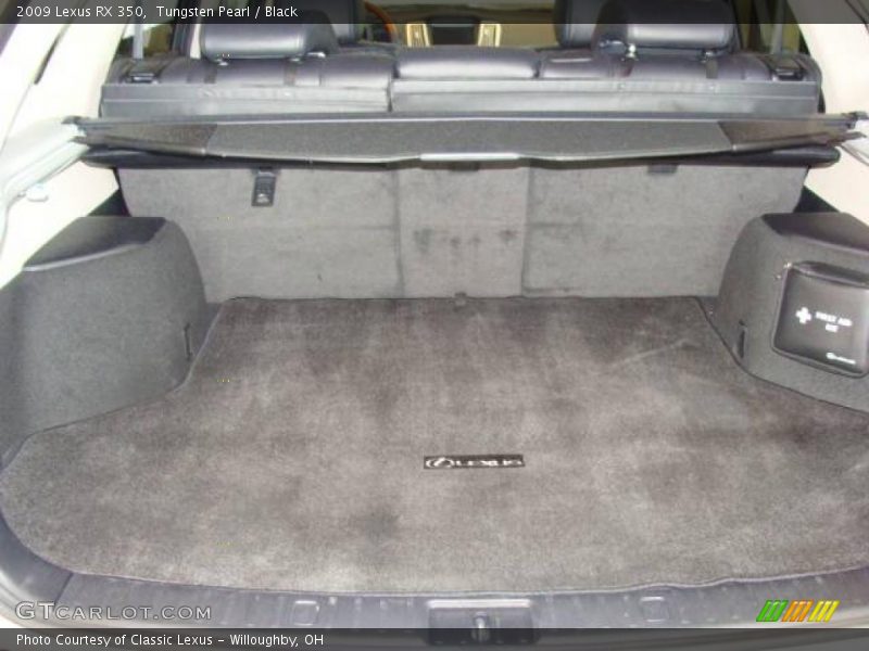Tungsten Pearl / Black 2009 Lexus RX 350