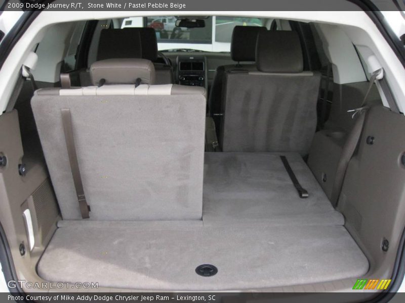 Stone White / Pastel Pebble Beige 2009 Dodge Journey R/T