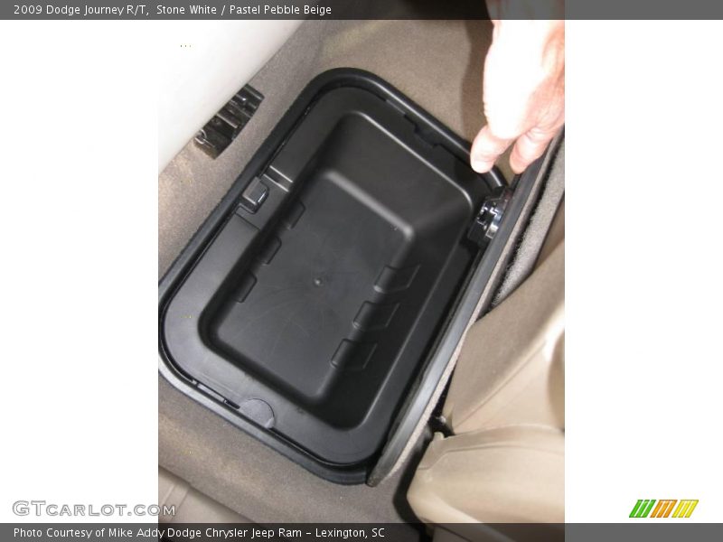 Stone White / Pastel Pebble Beige 2009 Dodge Journey R/T