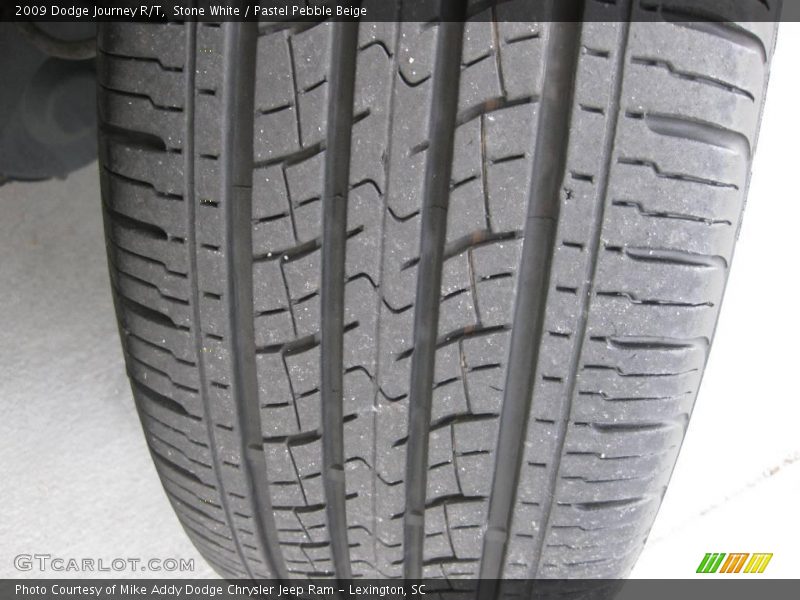 Stone White / Pastel Pebble Beige 2009 Dodge Journey R/T