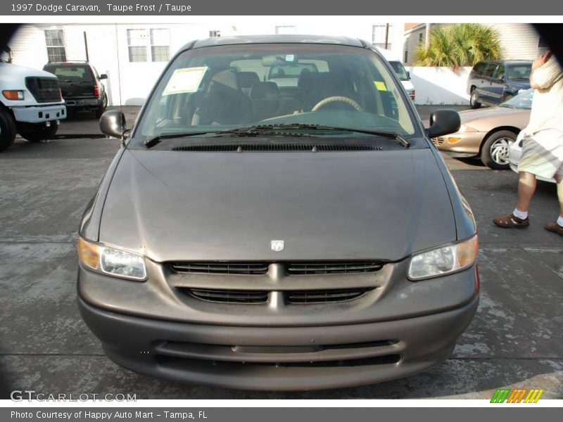 Taupe Frost / Taupe 1997 Dodge Caravan