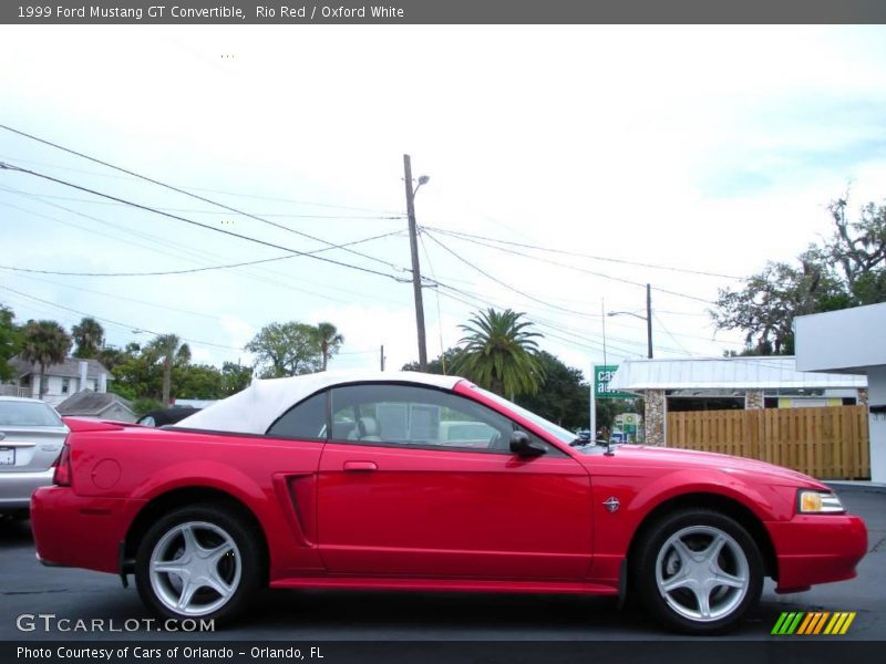 Rio Red / Oxford White 1999 Ford Mustang GT Convertible