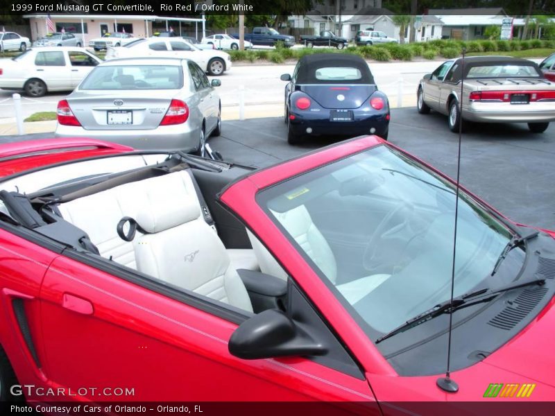 Rio Red / Oxford White 1999 Ford Mustang GT Convertible
