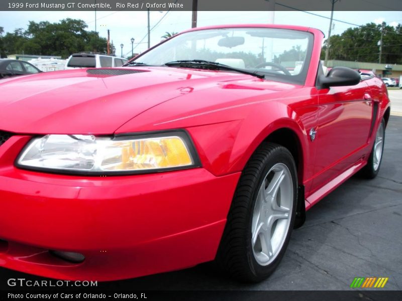 Rio Red / Oxford White 1999 Ford Mustang GT Convertible