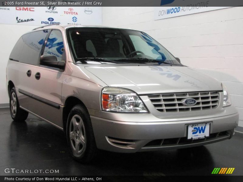 Silver Birch Metallic / Flint Grey 2005 Ford Freestar SE