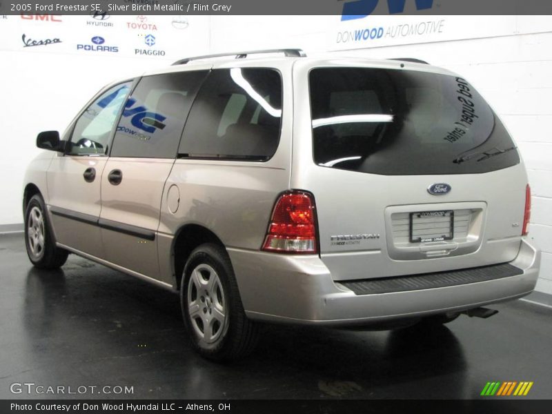 Silver Birch Metallic / Flint Grey 2005 Ford Freestar SE