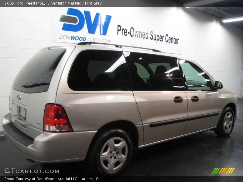 Silver Birch Metallic / Flint Grey 2005 Ford Freestar SE