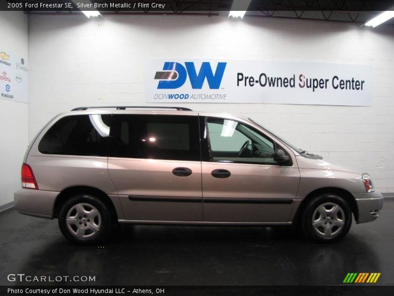 Silver Birch Metallic / Flint Grey 2005 Ford Freestar SE