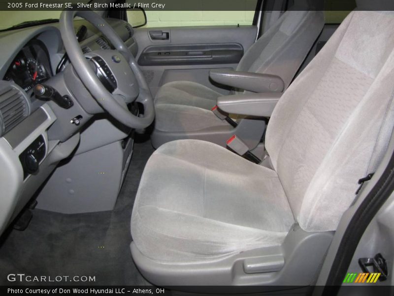 Silver Birch Metallic / Flint Grey 2005 Ford Freestar SE