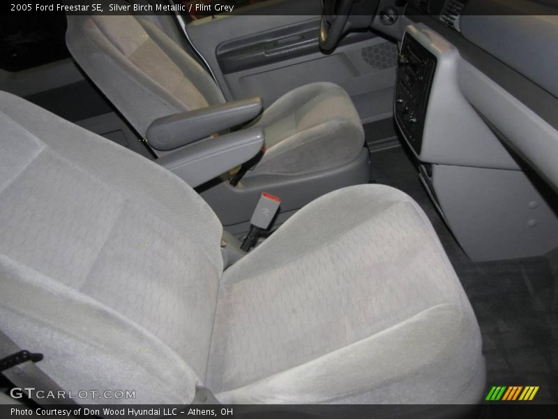 Silver Birch Metallic / Flint Grey 2005 Ford Freestar SE